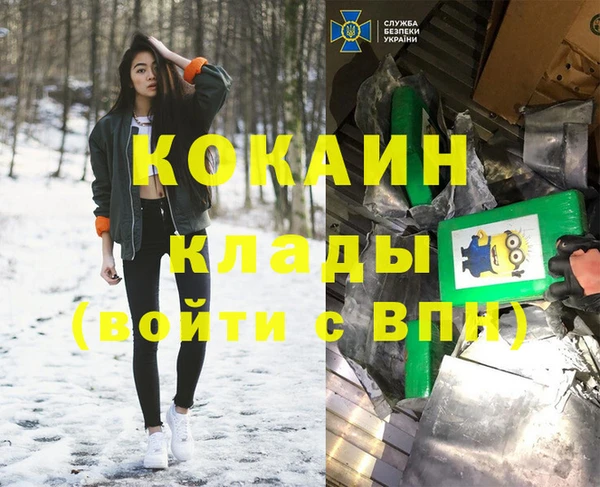 шишки Алексеевка