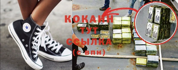 шишки Алексеевка