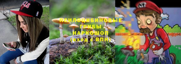 спайс Алексин