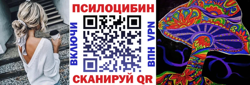 kraken ссылки  Бахчисарай  Псилоцибиновые грибы Psilocybe 
